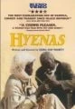 Hyeny (Hyènes)