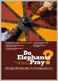 Modlí se sloni? (Do Elephants pray?)