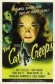 The Cat Creeps