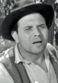 Mario Meniconi