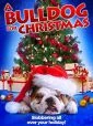 Vánoce pro buldoka (A Bulldog for Christmas)