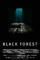Černý les (Black Forest)