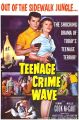 Teenage Crime Wave