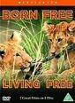 Divočina patří lvům (Living Free)
