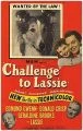 Challenge to Lassie