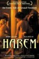 Poslední harém (Harem Suare)