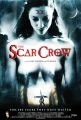 Věčná kletba (The Scar Crow)