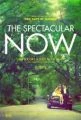 Kouzlo přítomného okamžiku (The Spectacular Now)