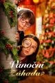 Vánoční záhada (A Christmas Mystery)