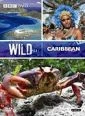 Divoký karibik (Wild Caribbean)
