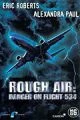 Let 534 v ohrožení (Rough Air: Danger on Flight 534)
