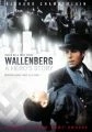 Raoul Wallenberg (Wallenberg: A Hero's Story)