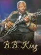 B.B.King/The Blues Sounds (The Jazz Channel presents B.B.King)