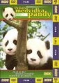 Dobrodružství medvídka Pandy (Panda Diary)