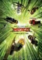 Lego Ninjago Film (The Lego Ninjago Movie)
