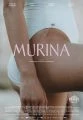 Muréna (Murina)