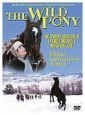 Divoký pony (The Wild Pony)