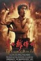 Bruce Lee - Mistr bojových umění (Bruce Lee, the Legend)