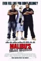 Nejhledanější v Malibu (Malibu's Most Wanted)