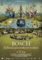 Bosch: Zahrada pozemských rozkoší (El Bosco. El jardín de los sueños)