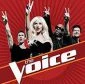 The Voice USA