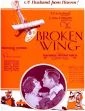 The Broken Wing