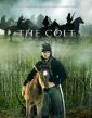 Hříbě (The Colt)