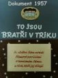 To jsou Bratři v triku