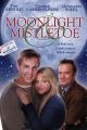 Moonlight &amp; Mistletoe