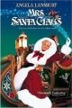 Vánoční výlet (Mrs. Santa Claus)