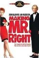 Chlap na míru (Making Mr. Right)