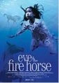 Eva a rok ohnivého koně (Eve and the Fire Horse)