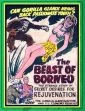 The Beast of Borneo