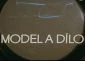 Model a dílo