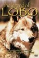 Lobo (The Legend of Lobo)