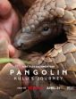 Luskoun: Kulu a jeho cesta (Pangolin: Kulu's Journey)